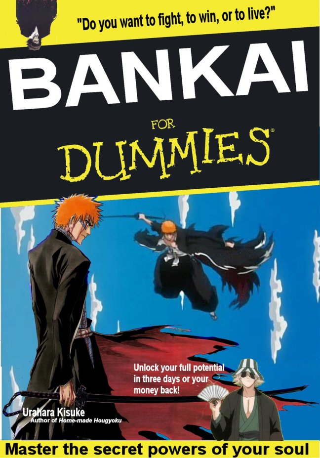 bankai_for_dummies_by_urahara1001.png